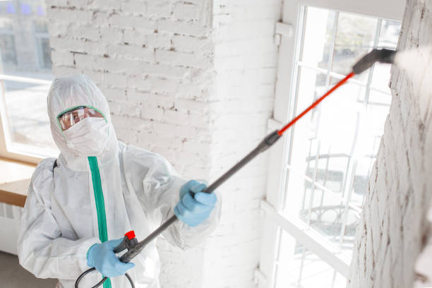 Best Post-Remediation Verification Testing  in South El Monte, CA