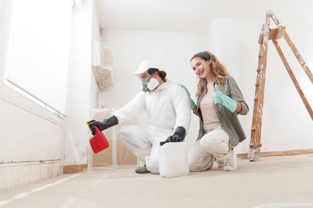 Mold Documentation for Insurance Claims in South El Monte, CA